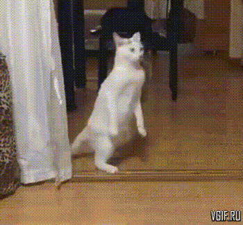 vgif-ru-28947.gif