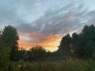 B62BE10F-2044-406E-A0AC-B9806F075EE9.jpeg