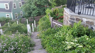 20210623_195613.jpg