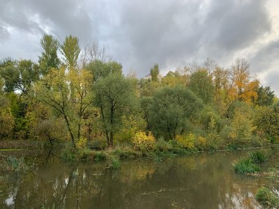 5593BB0E-672E-4B4C-B159-6FD416B12594.jpeg