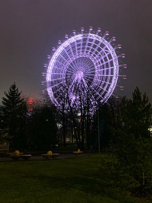 C58DF1AB-C4F4-49C2-9FDF-B9DB961180A6.jpeg