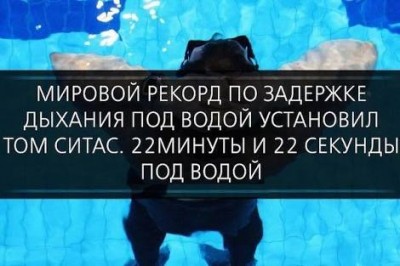 images (3).jpeg