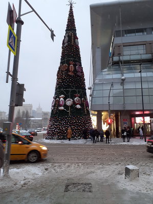 20221217_154116-елка02.jpg
