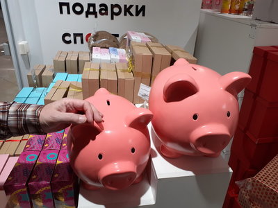 20221217_174337-свинки.jpg
