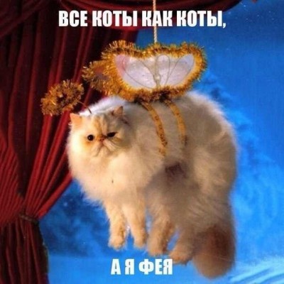 oiQa0Guj7VE.jpg