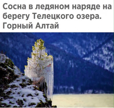 image-0-04-04-b816209455a1225a86e35904c1bf0d13d22c73f38e15ec1064775de3bb9bfee8-V.jpg